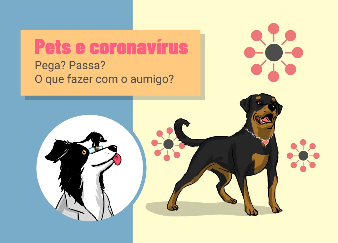 Pets e coronavírus